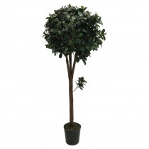 FAUX HOLLY TREE-(5'.5") Potted
