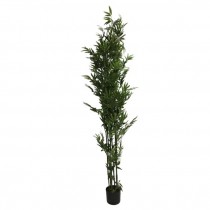 FAUX BAMBOO TREE-(6')Black Pot W/Green Trunk