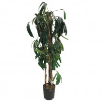 FAUX RAPHIS PALM-(4'5")Four Stems W/Black Pot