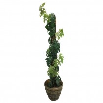 FAUX PLANT-(4'5")Split Leaf Philodendron W/Relief Design Pot