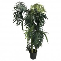 FAUX TREE-(5') Golden Cane Palm Tree W/Black Pot