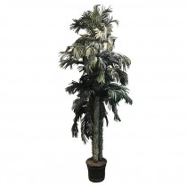 FAUX TREE-Cluster of (3) Palm Trees W/Black Pot