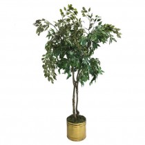 FAUX TREE-(6')Fichus Tree W/Brass Pot