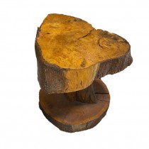 END TABLE-Tree Trunk Slab |Organic