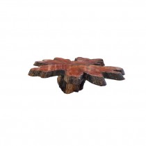 COFFEE TABLE-Tree Trunk Slab | Organic