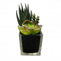 FAUX PLANT-Hedgehog Aloe & Echeveria Succulent