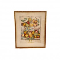 PRINT-Twelve Months of Fruits-March