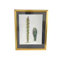 PRINT-(1) Tall & (1) Short Cactus in Gold Frame