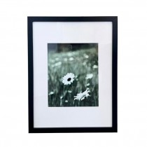 (HDEW0104)FRAMED PHOTOGRAPHY-Blk/Wht Photo-Two Daisies