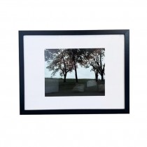 (HDEW0106)FRAMED PHOTOGRAPHY-Blk/Wht Photo-Landscape w|Hammock in Corner