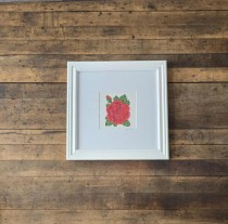 (8521PJ66)Rose in White Museum Frame