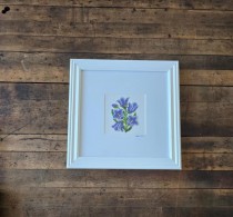 (8521PJ68) Bluebell |White Frame