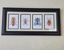 (8521PJ76) 4 Insects |Black Decorative Frame