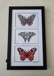 (8521PJ78) Butterfly Trio | Black Frame
