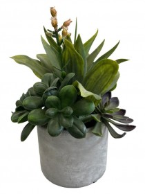 FAUX PLANT-Mixed Succulent Arrangement Grey Pot
