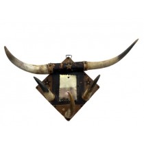 HORNS-ON PLAQUE WITH MIRROR