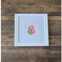 (8521PJ63)Pink Lotus in White Museum Frame
