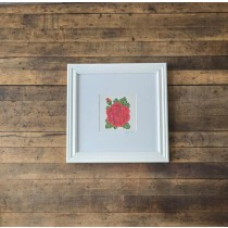 (8521PJ66)Rose in White Museum Frame