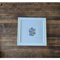 (8521PJ68) Bluebell |White Frame