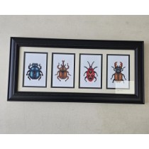 (8521PJ75) 4 Beetles | Black Decorative Frame