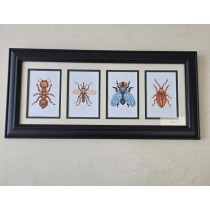(8521PJ76) 4 Insects |Black Decorative Frame