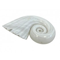 PAPERWEIGHT-Glass Spiral Shell