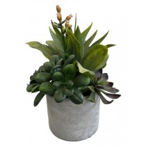 FAUX PLANT-Mixed Succulent Arrangement Grey Pot