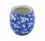 JAR-Blue & White Floral Pattern/Missing Lid