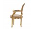 CHAIR-ARM-GOLD-TAPESTRY FABRIC