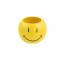 PLANTER-Yellow Smiley Face