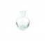 VASE-Clear Glass Nose Gay