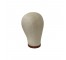 (52820008)MANNEQUIN HEAD-Canvas-Medium