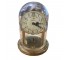 CLOCK-PLASTIC DOME 6.5"HAMILTO