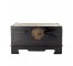 TRUNK/COFFEE TABLE-BLACK ASIAN