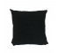 Pillow- BLK velvetine