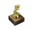 Trophy- Gold Male Golfer/ wood