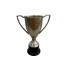 Trophy- Silver Cup Blk Base