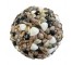 BALL-SHELLS, 10DM