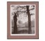 PRINT-LANDSCAPE MED/NIC