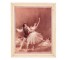 PRINT-BALLET PAS DE DEUX