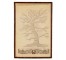 PRINT-FR-"DEVELOPMENT OF VIOLI