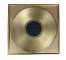 AWARD-Framed Gold Record|Gold Background