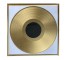 AWARD-Framed Gold Record |White Background