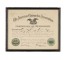 DIPLOMA-AMERICAN OPTOMETRIC ASSOCIATION