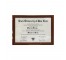(85170007)FRAMED AWARD-UNI NY-Master of Arts-Martin Mendez