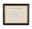DIPLOMA-FR-13X16-NYU BUS.ADMN.