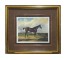 PRINT-PR-25X80-HORSE IN FIELD