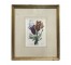 PRINT-SETOF3-14X16-BOTANICAL-G