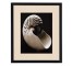 PRINT-PR-20X24-SEASHELL PHOTO-