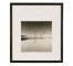 PRINT-23X25-B&W-POLES IN POND